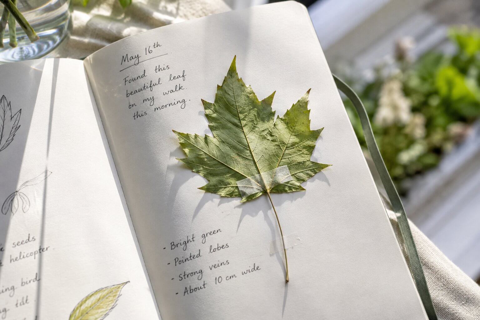 pressed leaf on journal